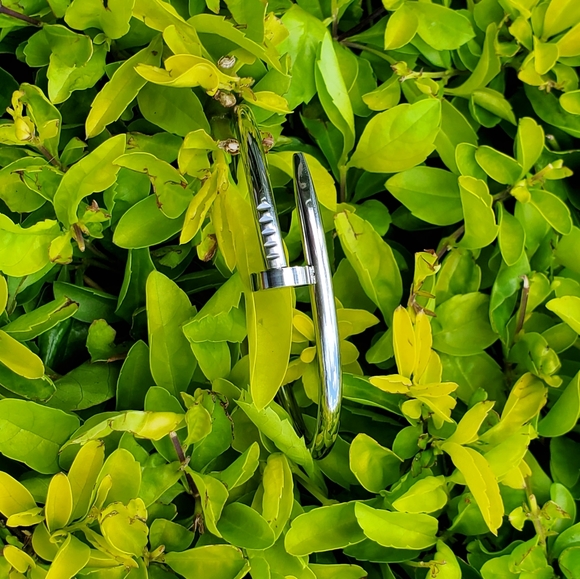 High Quality Stainless Steel Siver Bracelet - Picture 4 of 7